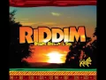 Riddim - Tu amor (AUDIO)