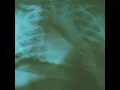 Chew It All - Beeswax