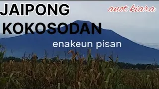 Download KOKOSODAN GOGOLERAN | SENI SUNDA JAIPONG MP3