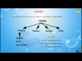 Lesson-9 Core Java Basics - Literals In Java Programming Language