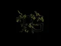 Making procedural tree in cinema 4d Tree generator set up basic xpresso