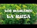 Download Lagu Los Wawanco - La Ruda