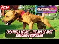 Establishing a Bloodline - How to Build Your Own APBT Line ADBA Breeder s Guide