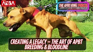 Establishing a Bloodline - How to Build Your Own APBT Line ADBA Breeder s Guide