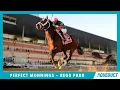 Perfect Munnings - 2021