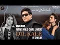 Download Lagu Rang Kale Chal  Janday | Malkoo|New Song 2025 | Malkoo studio