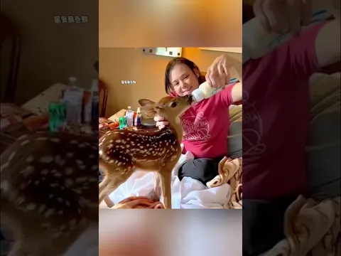 माँ ने उसे thukra दिया! 😭 लेकिन आखिर me जो hua उसने सबको रुला diya!! 🥹🦌