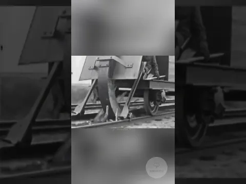 The German Army's most ruthless weapon! ☠️ #history ?! #facts #ww2 #hitler #science #interesting