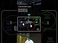 Private VLAN Configuration Example CCNP 350-401 IPCisco com