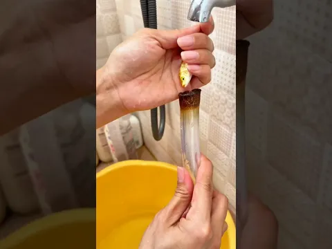 ¿Mi pececito llegará a su nuevo hogar? 😱🐟!!