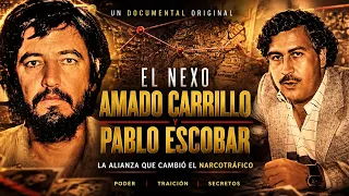 LA HISTORIA DETRAS DE LA ALIANZA DE ESCOBAR Y AMADO CARRILLO 🤯  #video #historia #mexico 