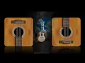 William Ackerman Collection 2