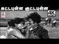 Download Lagu Kattapulla Kutta Pulla Song 4K இசைஞானி இசையில் TMS, S.ஜானகி பாடிய கட்டபுள்ள குட்ட புள்ள பாடல்