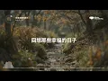 莊心妍《走著走著就散了》『有些人走著走著就散了有些事看著看著就淡了有多少無人能懂的不快樂就有多少無能為力的不舍有些人想著想著就忘了有些夢做著做著就醒了才發現從前是我天真現實又那麼殘忍』【動態歌詞MV】
