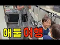 Download Lagu 우하루 극한투어 🇺🇸 애미는 마이애미 (개그...) 😇 애 둘 데리고, 생존여행 🔥 100일 아기랑 여행 l 미국일상 l 미국 브이로그