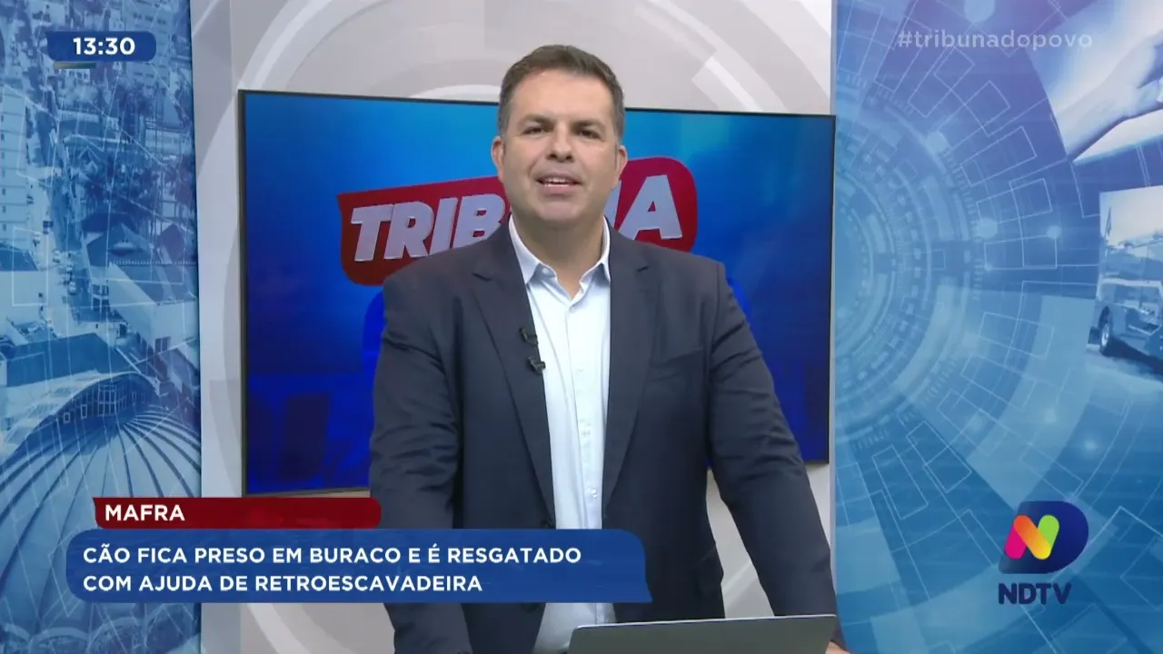 Mafra: cão fica preso em buraco e é resgatado com ajuda de retroescavadeira