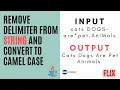 How to remove special characters from string and convert to Camel Case Placement Questions