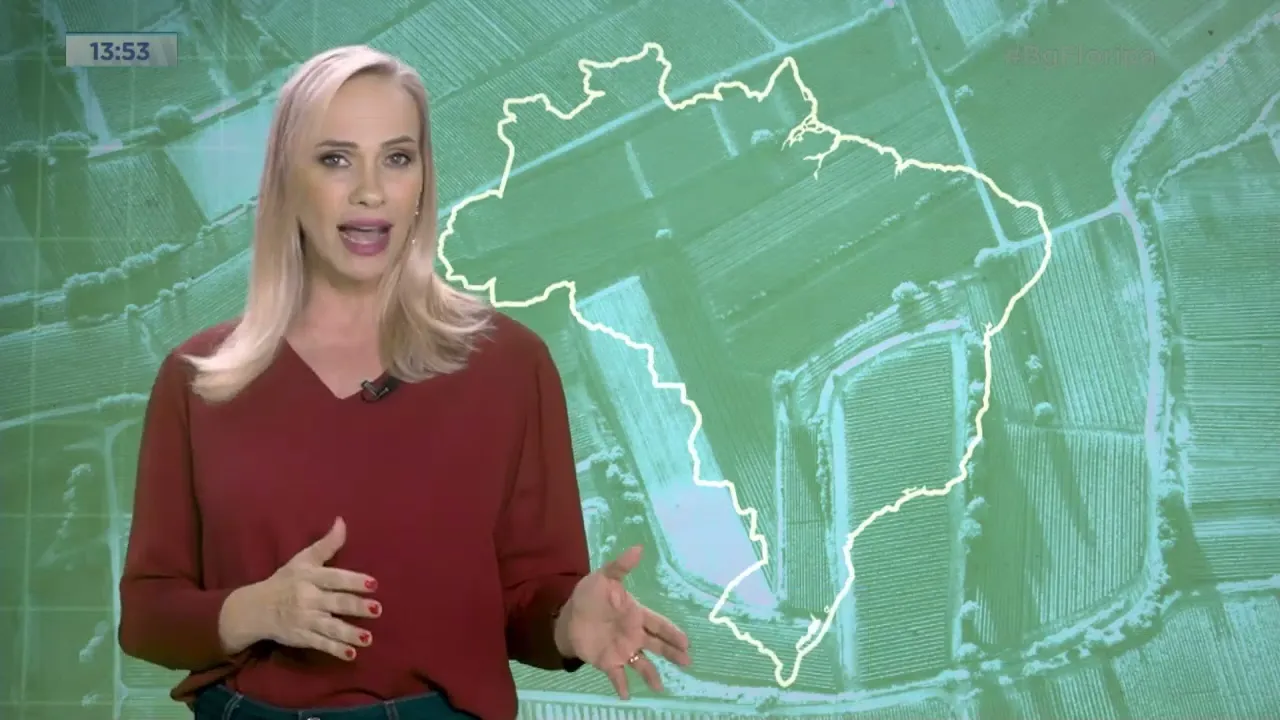 Made in Santa Catarina: cuidados com a peste suína mantém a qualidade dos produtos catarinenses