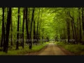 Download Lagu Salah Bukhatir - Surah Ar Rahman (55) (Engelse vertaling)