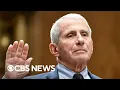 Legal analysis on whether Dr Anthony Fauci can be punished for invoking Fifth Amendment