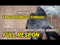 Download Lagu Sp UANG DATANG Part2. suara walet birahi super jernih dan berkualitas