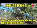Lagu Beco Baru Gacor‼️Bucket Babon Ratakan Kebon Pohon Buah Sepanjang Bantaran #dedimulyadi #kdm