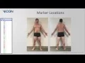 Nexus 2 tutorial - Plug-In Gait Markers and Anthropometrics