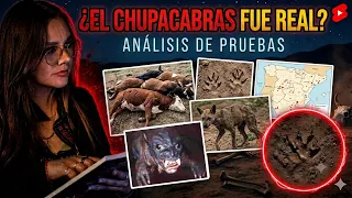 EVIDENCIA REAL DEL CHUPACABRAS (ANALISIS)