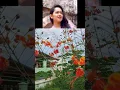 Download Lagu Ayo Nyanyi Biar Semangat, Gaes: Cindai By Siti Nurhaliza #celebrity #music