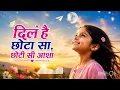 chhoti si aasha -Roja | a.r. rahman | madhoo |minmini | official video | dil hai chotta sa