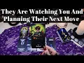 Lagu They Are Watching You And Planning Their Next Move…URGENT READING + Pick A Card