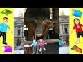Flat Stanley Adventures for Kids - Jimmy and Gloria s Flat Stanley Adventures in Italy and France