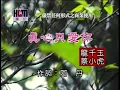 Download Lagu 蔡小虎vs龍千玉-真心只愛你(官方KTV版)