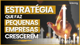 Strategy to Make a SMALL BUSINESS GROW