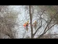 Body found in Lady Bird Lake