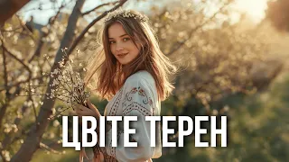 Цвіте терен Ukrainian Electro Folk X Deep House Modern Remix 2025  Цвіте терен Ukrainian Electro Folk X Deep House Modern Remix 2025