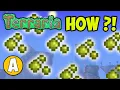 How to get JUNGLE SPORES in Terraria EASY