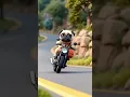 Download Lagu Who said pugs can’t ride? Watch our little legends take on the open road! 🐾💨 #PugLife #biker