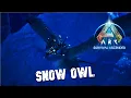 Taming A Snow Owl Ark Survival Evolved Extinction