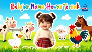 Belajar Nama Hewan Ternak