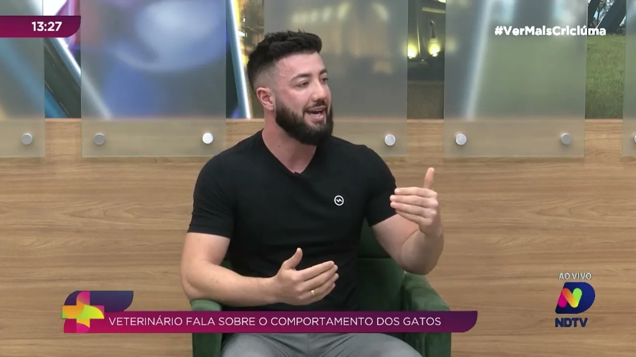 Tudo sobre gatos: entrevista com o médico veterinário Arthur Petrolli