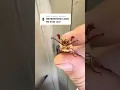 Download Lagu Beetles core #animals #funnypets #funny #petvideos #cute #pets #insects #fyp #funnyvideo #usa