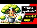 Photosynthesis in higher plants - Understand in 3 minutes