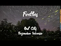 Download Lagu Owl City - Fireflies - Terjemahan