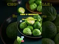 Names of vegetables in Moroccan Darija Part 7 moroccan