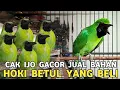 Lagu STOCKNYA BENER² LUAR BIASA || CAK IJO GACORAN JUAL BAHAN KACER GACOR JUAL 300 RIBUAN DI PB PRAMUKA