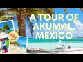 A Tour of Akumal Mexico