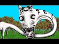 Don t Trust The God In The Horse