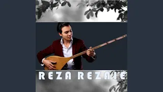 گل پری                                        دندنها