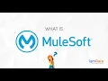 What is Mulesoft Tutorial for Beginners Mulesoft Training Mulesoft Course Updated 2026 -igmGuru
